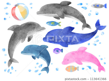 Dolphin illustration in watercolor style 113641366