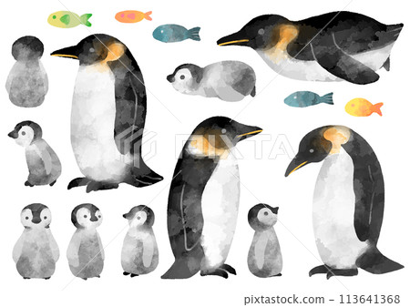Emperor penguin parent and child illustration, watercolor style, hand-drawn Emperor penguin parent and child illustration, watercolor style, hand-drawn 113641368