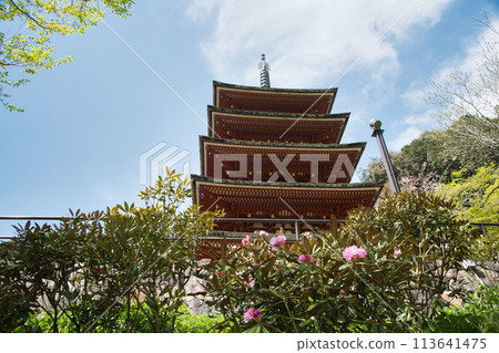Hasedera Temple (Five-story Pagoda) [Hatsuse, Sakurai City, Nara Prefecture] 113641475