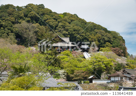 Hasedera Temple (Main Hall) [Hatsuse, Sakurai City, Nara Prefecture] 113641489