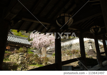 Hasedera Temple (Noboriro) [Hatsuse, Sakurai City, Nara Prefecture] 113641497