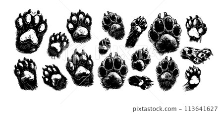 Animals paws ink sketch vector set. Dogs cats close up claws wool pads traces animals pets illustrations isolated on white background 113641627