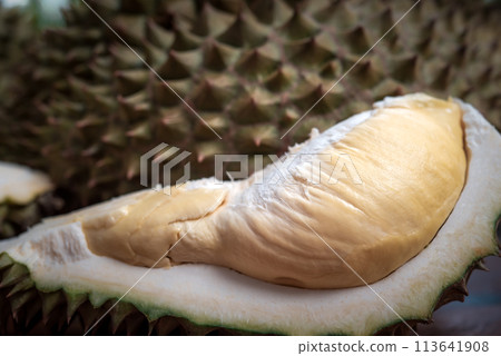 Durian is a king of fruit in Thailand and asia Durian is a king of fruit in Thailand and asia 113641908
