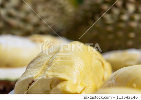 Durian is a king of fruit in Thailand and asia 113642140