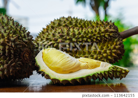 Durian is a king of fruit in Thailand and asia Durian is a king of fruit in Thailand and asia 113642155