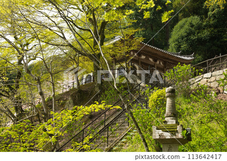 Hasedera Temple [Hatsuse, Sakurai City, Nara Prefecture] 113642417