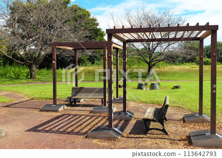 陽光明媚的廢棄綠色公園的長凳和格子遮陽篷 陽光明媚的廢棄綠色公園的長凳和格子遮陽篷 113642793