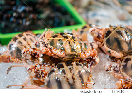 Fresh raw flower crab at Thai seafood market 113643024