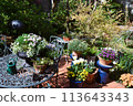 Flower garden 113643343