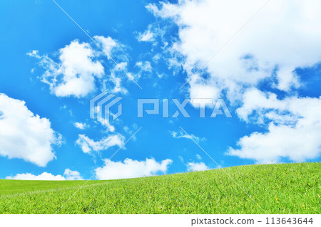 清爽的夏日藍天和清新的綠色草甸景觀 113643644