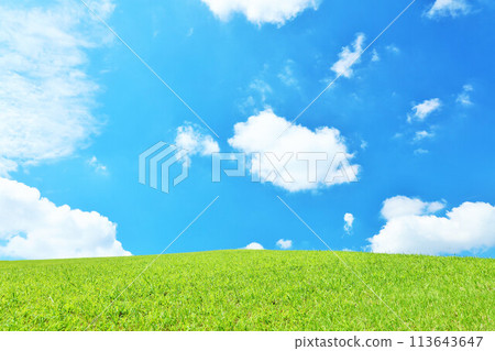 清爽的夏日藍天和清新的綠色草甸景觀 113643647