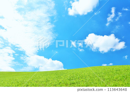 清爽的夏日藍天和清新的綠色草甸景觀 113643648