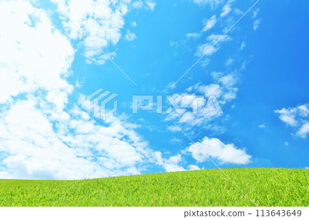 清爽的夏日藍天和清新的綠色草甸景觀 清爽的夏日藍天和清新的綠色草甸景觀 113643649