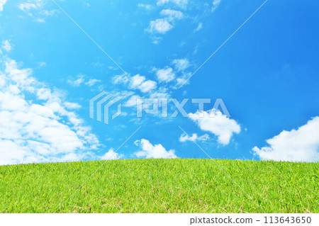 清爽的夏日藍天和清新的綠色草甸景觀 113643650