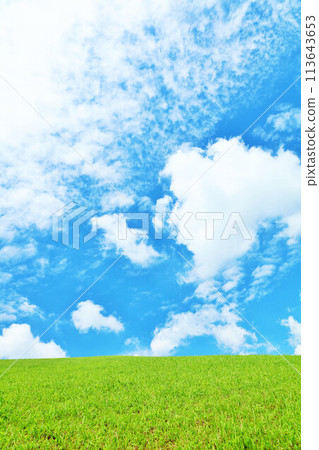 清爽的夏日藍天和清新的綠色草甸景觀 清爽的夏日藍天和清新的綠色草甸景觀 113643653