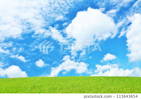 清爽的夏日藍天和清新的綠色草甸景觀 清爽的夏日藍天和清新的綠色草甸景觀 113643654