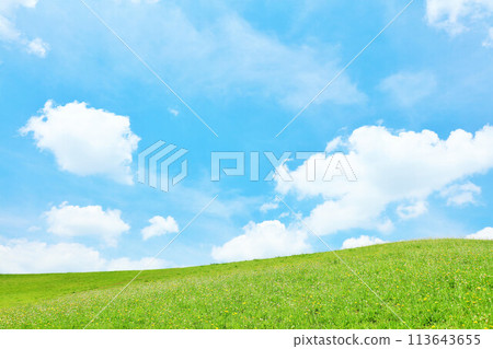 Refreshing summer blue sky and fresh green meadow landscape Refreshing summer blue sky and fresh green meadow landscape 113643655