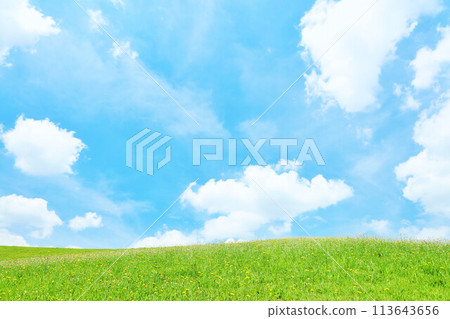 清爽的夏日藍天和清新的綠色草甸景觀 113643656
