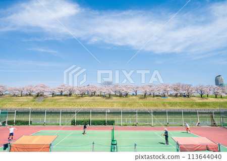 "Tokyo" Cherry blossom trees and tennis courts at Akabane Sakura Tsutsumi Park on the Arakawa River 113644040