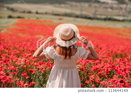 Field poppies woman. Happy woman in a white dress and hat stand through a blooming field of poppy raised her hands up. Field of blooming poppies. Field poppies woman. Happy woman in a white dress and hat stand through a blooming field of poppy raised her hands up. Field of blooming poppies. 113644149