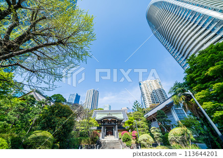 “東京” 青勝寺/港區 綠意盎然 113644201
