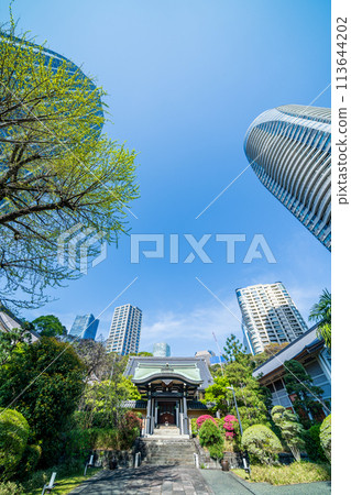"Tokyo" Seishoji Temple, Minato Ward, surrounded by fresh greenery 113644202