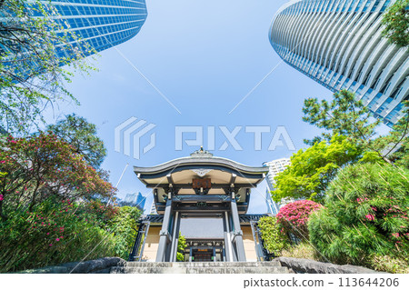 "Tokyo" Seishoji Temple, Minato Ward, surrounded by fresh greenery "Tokyo" Seishoji Temple, Minato Ward, surrounded by fresh greenery 113644206