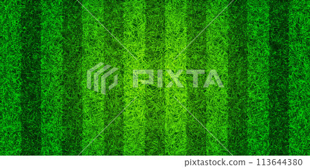 Soccer playing field with green grass. Football pitch background with stripes. Sports ground, stadium with fake or natural grass. Vector illustration 113644380