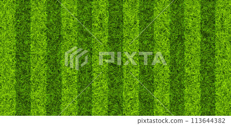 Soccer playing field with green grass. Football pitch background with stripes. Sports ground, stadium with fake or natural grass. Vector illustration Soccer playing field with green grass. Football pitch background with stripes. Sports ground, stadium with fake or natural grass. Vector illustration 113644382