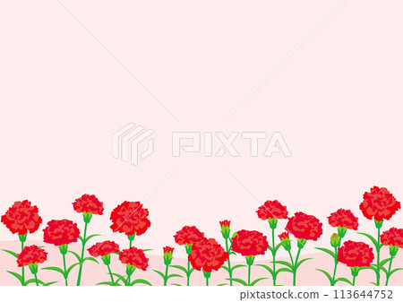 Carnation background for Mother's Day Vector illustration 113644752