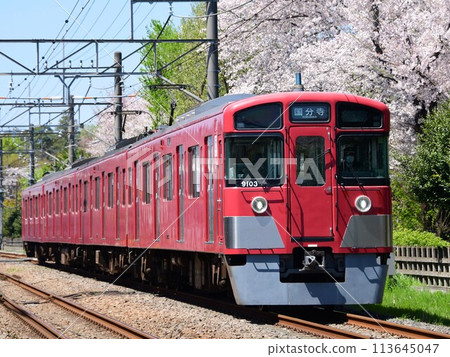 The red Seibu 9000 series 9103F train runs against the backdrop of blooming cherry blossoms on the Seibu Tamagawa Line The red Seibu 9000 series 9103F train runs against the backdrop of blooming cherry blossoms on the Seibu Tamagawa Line 113645047
