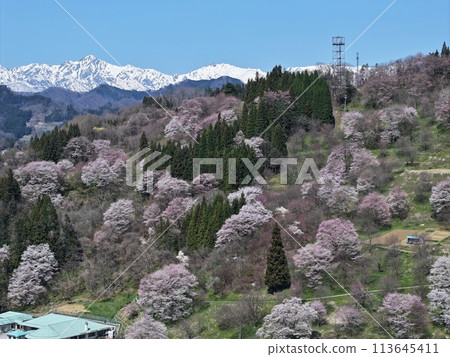 春天在山村里 春天在山村里 113645411