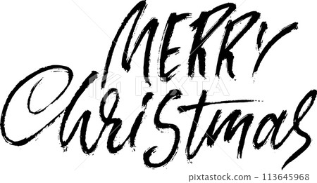Merry Christmas Hand Drawn Modern Dry Brush Lettering. 113645968