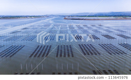 用無人機拍攝的海藻漁場 113645976