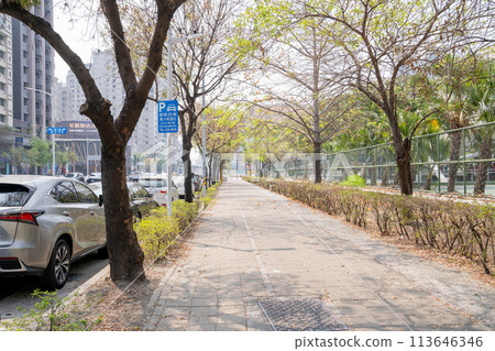 台灣城市街道 113646346