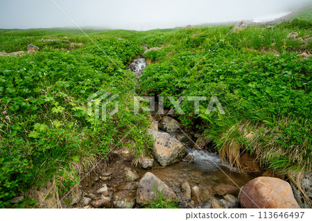 山形月山神山登山雲溪 113646497