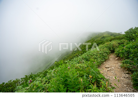 Yamagata Gassan sacred mountain climbing cloud fog Yamagata Gassan sacred mountain climbing cloud fog 113646505