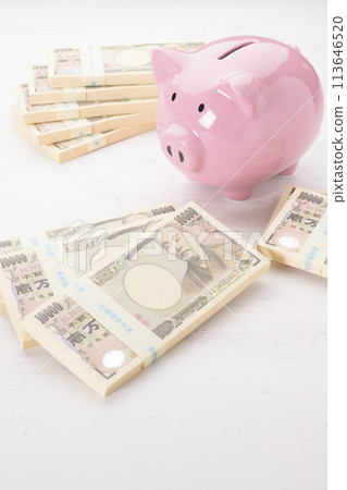 Pig piggy bank and money 113646520