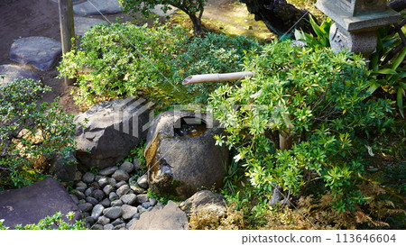 Shishiodoshi in the garden 113646604
