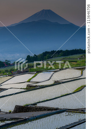 [Early Summer Material] Nakano Terraced Rice Fields at Dawn [Yamanashi Prefecture] 113646706