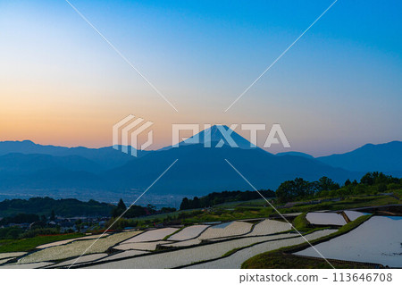 [初夏材料]黎明時分的中野梯田[山梨縣] 113646708
