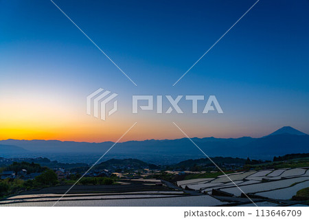 [初夏材料]黎明時分的中野梯田[山梨縣] 113646709