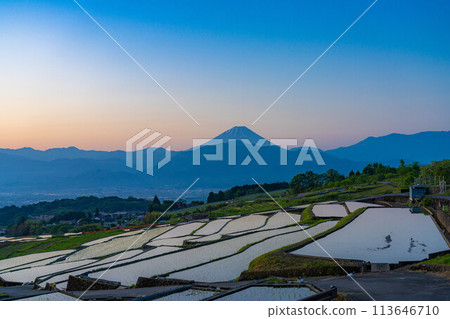 [初夏材料]黎明時分的中野梯田[山梨縣] 113646710