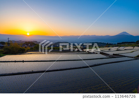 [Early Summer Material] Nakano Terraced Rice Fields at Dawn [Yamanashi Prefecture] 113646726