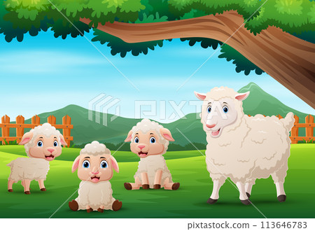 A group of sheep at the farm landscape A group of sheep at the farm landscape 113646783