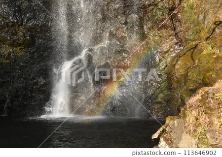 Rainbow in the waterfall spray 113646902