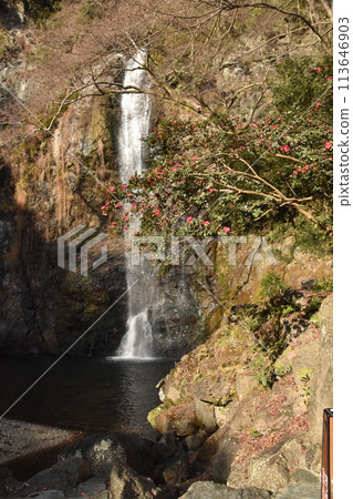 A big waterfall in the mountains A big waterfall in the mountains 113646903