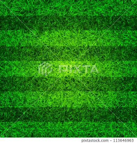 Soccer playing field with green grass. Football pitch background with stripes. Sports ground, stadium with fake or natural grass. Vector illustration Soccer playing field with green grass. Football pitch background with stripes. Sports ground, stadium with fake or natural grass. Vector illustration 113646963
