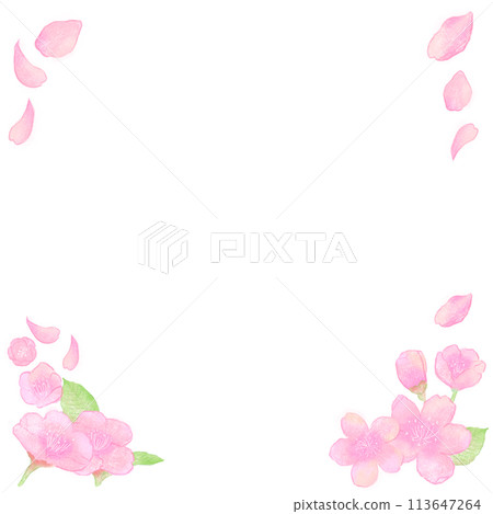 Hand-drawn square frame of cherry blossoms 113647264
