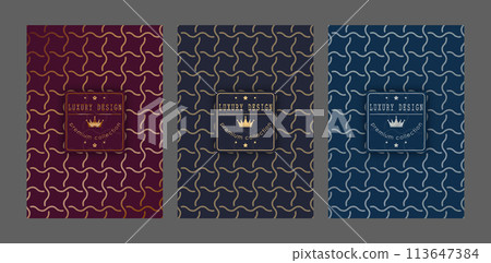 A luxurious pattern. A set of spectacular patterns for covers, prints, interior design, packaging, premium funds and creative ideas 113647384